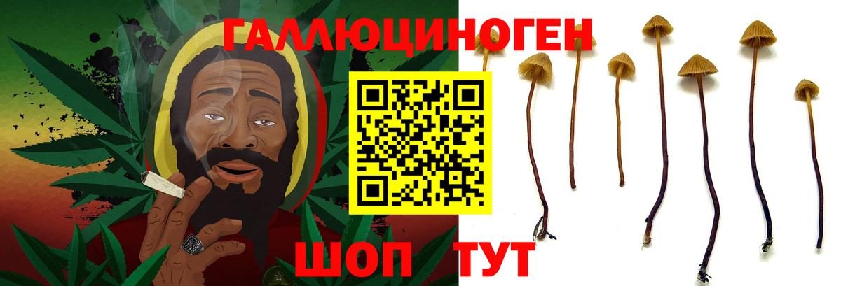 купить   Псилоцибиновые грибы ЛСД  Вход с VPN  Гусь-Хрустальный 